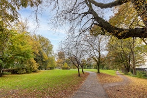 Fitzwilliam image 3