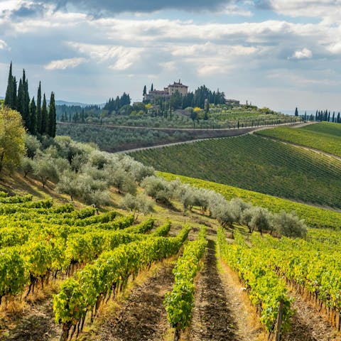 Immerse yourself in the beauty of the Chianti countryside