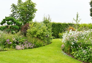 Countryside Magic image 12