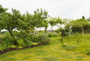 Countryside Magic image 10