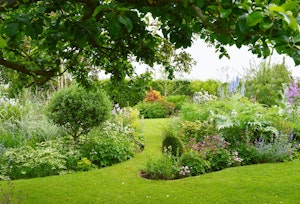 Countryside Magic image 9