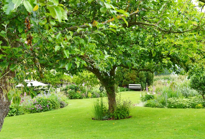 Countryside Magic additional image