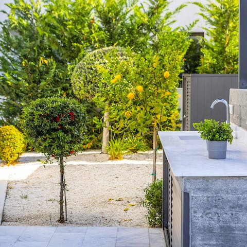 Relax amid fruit trees at this pretty home