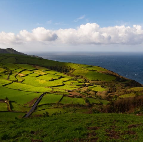 Explore the patchwork landscapes of Pico, right on your doorstep