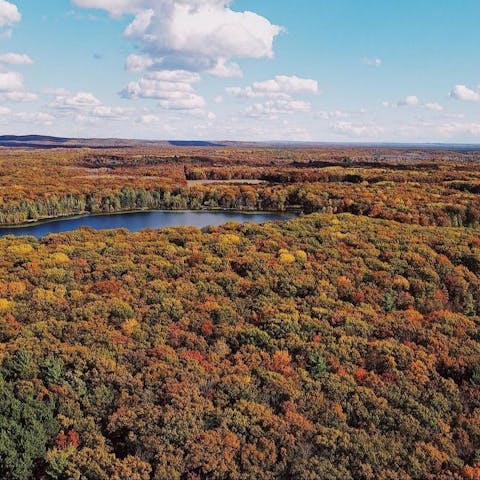Explore the Gouldsboro State Park, only two miles away
