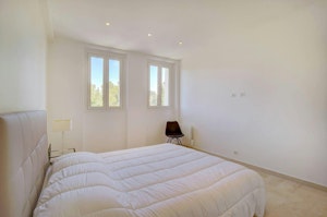 Palms & Panoramas image 14