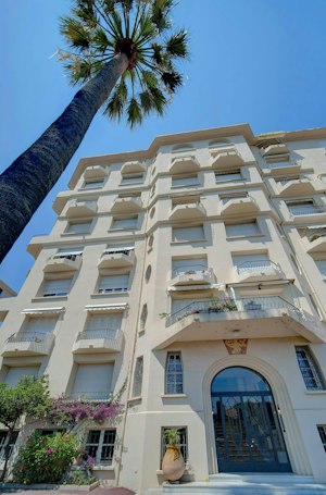 Palms & Panoramas image 13