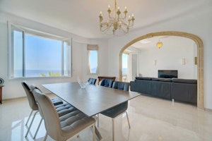 Palms & Panoramas image 10