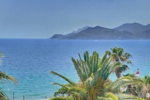 Palms & Panoramas image 8