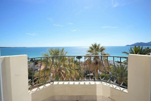 Palms & Panoramas image 5