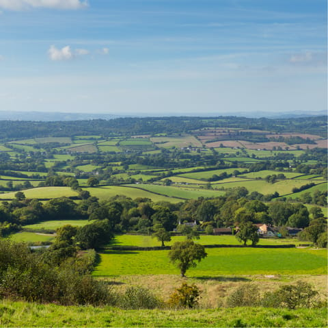 Set off on rambling dog walks through stunning landscapes of the Blackdown Hills and East Devon AONB