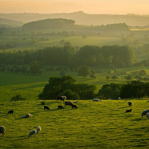 Explore the surrounding hamlets and villages of West Dorset