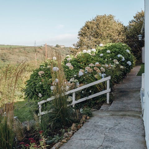 Admire the gorgeous views over Penberth Valley from the tiered garden