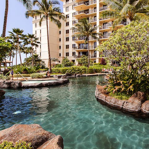 Go for a dip in the lagoon-style pool