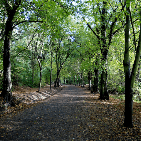 Stroll down to Hampstead Heath and unwind surrounded by nature