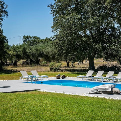 Soak up the views of the ancient olive trees surrounding the home