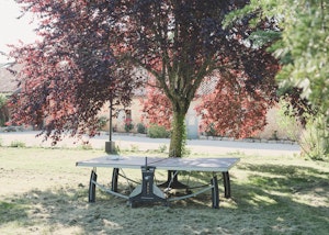 The Garonne image 5