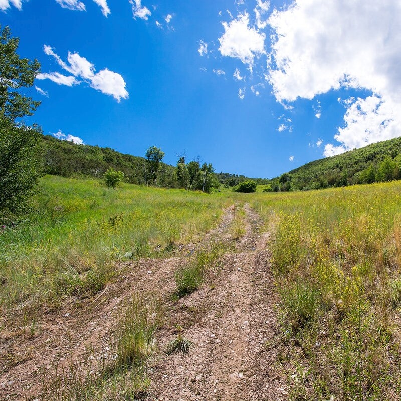 Explore the nearby hiking trails in the summer