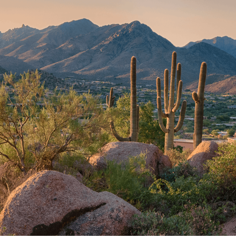 Explore the natural wonders of the Coachella Valley from your desert base