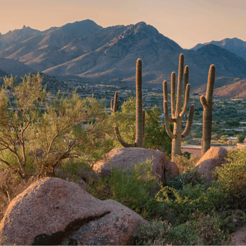 Explore the natural wonders of the Coachella Valley from your desert base