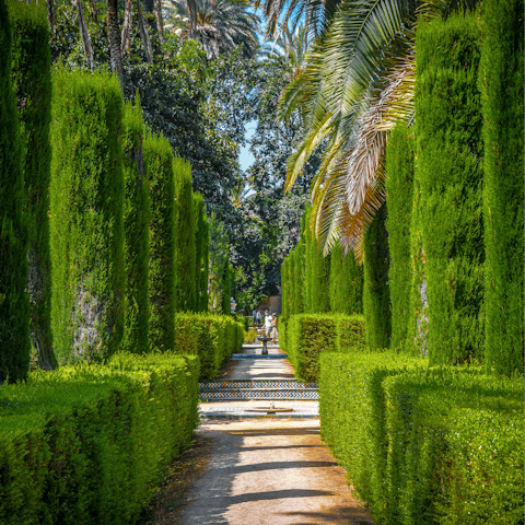 Enjoy a gentle stroll around the picturesque Real Alcázar Gardens