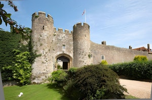 Pearl of Sussex image 6