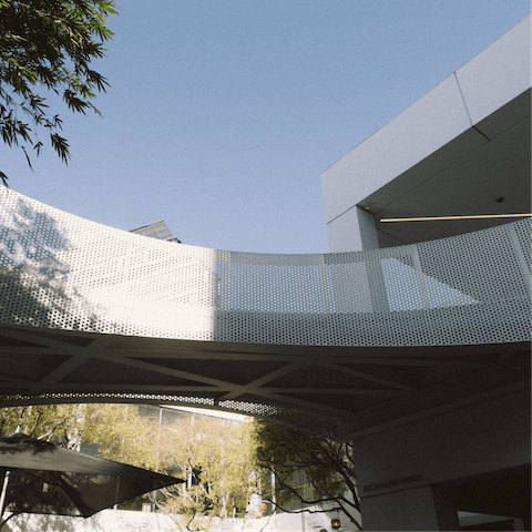 Catch the latest exhibition at the Hammer Museum, a short drive away