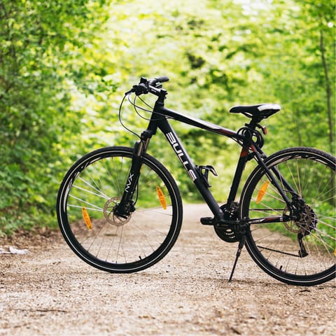 Hire a bike to explore the stunning woodlands surrounding the holiday village