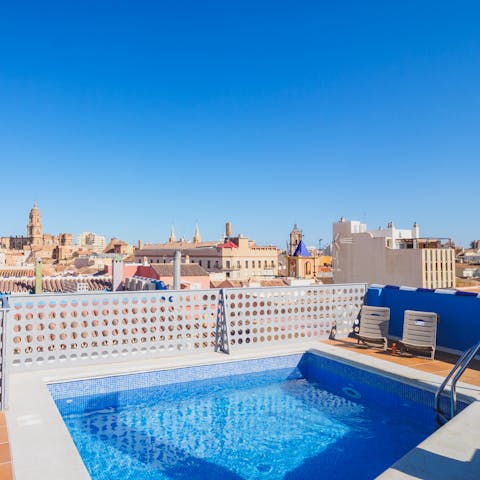 Admire views of Málaga Cathedral from the communal rooftop pool