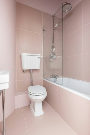 Buckingham Rose image 14