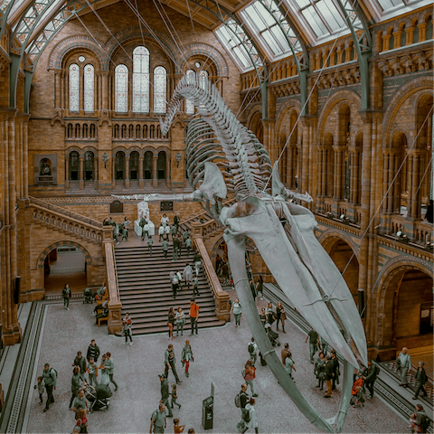 Pore over dinosaur fossils at the Natural History Museum, only a twenty-minute walk from your home