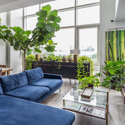 Admire more than twenty species of plant in the apartment