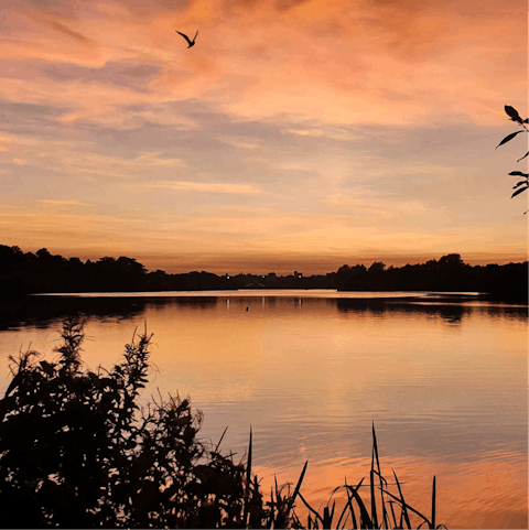 Go for a stroll around the pretty Whitlingham Lake, a couple of miles away