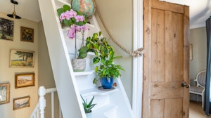 Whitstable Oysters image 12