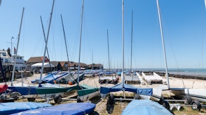 Whitstable Oysters image 2