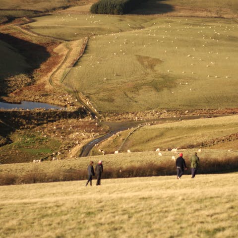 Go for a long walk in the country, over fields and hilltops