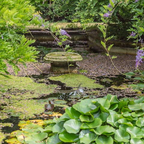 Relax by the pond in the exquisite garden