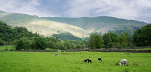 Scenic Vistas image 3