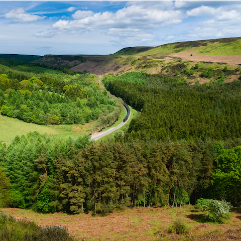 Take in the nature at the North York Moors National Park – a half an hour's drive away 