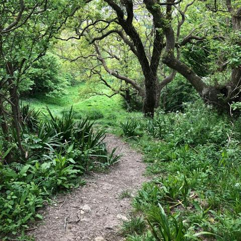 Strike out on scenic countryside walks from your front door