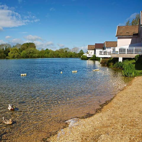 Stay on the shore of Spring Lake and watch the ducks float by