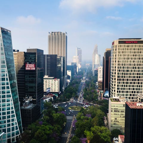 Stay in the upscale district of Polanco