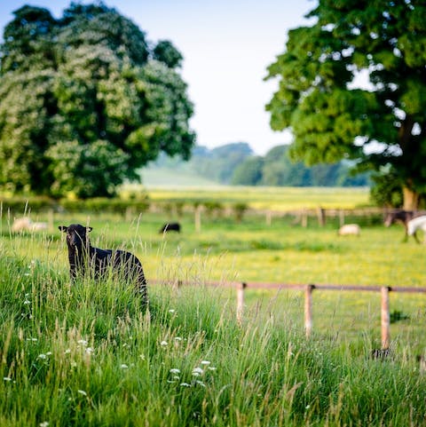 Explore the acres of surrounding countryside on this Cotswolds farm