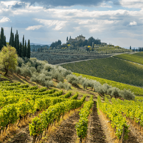 Wander the medieval walkways of Radda in Chianti, just seventeen minutes away by car