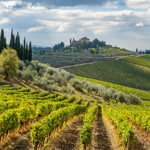 Wander the medieval walkways of Radda in Chianti, just seventeen minutes away by car
