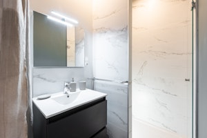 Silver Fir image 3