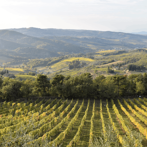 Sip local wine at Tenuta di Ghizzano – the wine estate is six minutes away by car