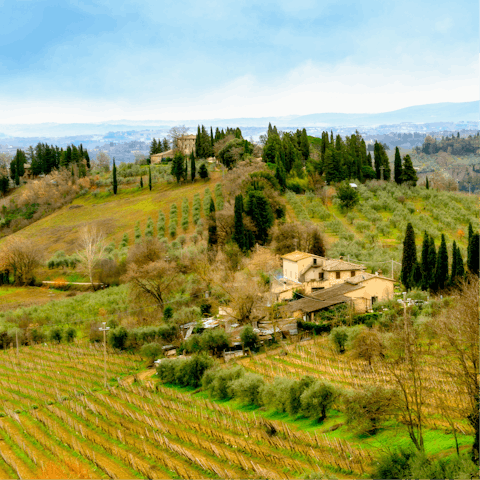Explore the Tuscan countryside surrounding this charming apartment