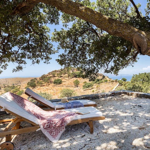 Find a secluded spot in the shadow of an ancient olive tree