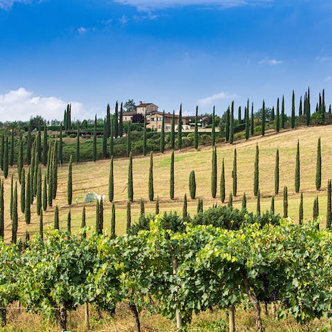 Explore the Tuscan countryside and vineyards that surround the home